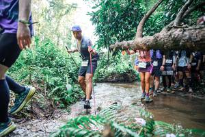 BIB: 
                            <button type="button" onclick="openModal(25470975)" class="btn btn-primary btn-sm float-right btn-popup" data-toggle="modal" data-target=".modal-high-quality">
                        <i class="fas fa-shopping-cart"></i> Add to Cart
                    </button>
                                            <button type="button" onclick="isThisMe(25470975, true)" class="btn btn-success btn-sm float-right btn-popup btn-isme hidden" data-toggle="tooltip" data-placement="bottom" title="นี่คือรูปของคุณใช่ไหม คลิกที่นี่เพื่อเอาเข้าอัลบั้ม">
                        <i class="fas fa-plus"></i> Add to album
                    </button>
                    <button type="button" onclick="isThisMe(25470975, false)" class="btn btn-warning btn-sm float-right btn-popup btn-isnotme hidden">
                        <i class="fas fa-ban"></i> Remove from album
                    </button>